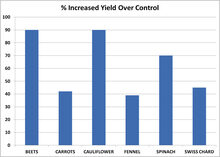 图2 2012年的冬季大田实验作物的产量增加百分比