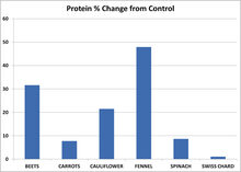 图4 2012年的冬季大田实验作物的蛋白质含量的增加百分比