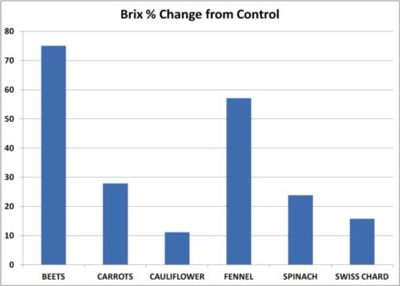 图3 2012年的冬季大田实验作物的可溶性固形物含量的增加百分比