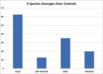 图5 2012年的冬季大田实验6种作物化学指标的平均增加百分比